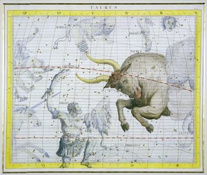 Constellation of Taurus, plate 2 fra 